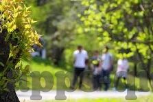 国内足球比分直播-国内足球比分直播，连接绿茵激情，实时见证荣耀时刻