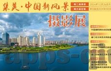 网赌森林舞会怎么赢钱-网赌森林舞会赢钱策略，提升技巧与风险管理