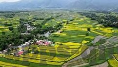 杏网时时彩-杏网时时彩，数字彩票的新选择