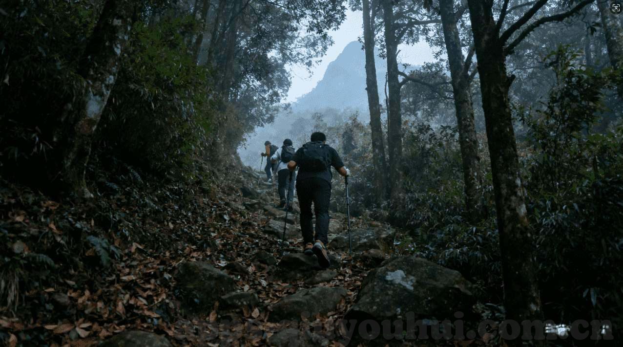 银河娱乐股票暴涨-银河娱乐股价飙升背后的驱动力与市场风向